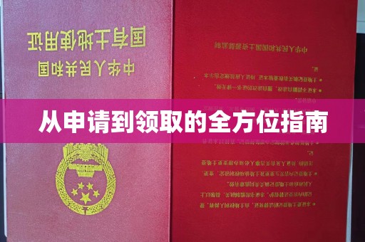 通许从申请到领取的全方位指南