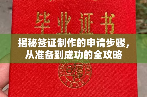 通许揭秘签证制作的申请步骤，从准备到成功的全攻略